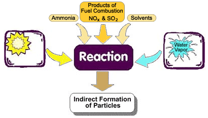 pm-reaction